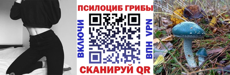 Галлюциногенные грибы ЛСД  Купить закладки  Перевоз 